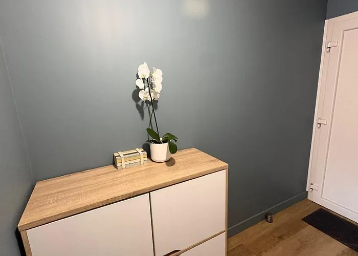 Et Centre A 100m Avec Balcon Et Parking Prive 4 Pers *